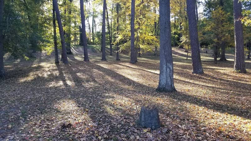 Dinglewood Park - Image 2
