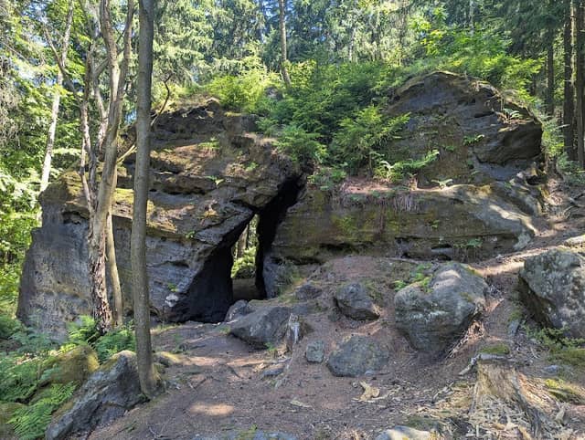 Wildbretkeller - Image 1