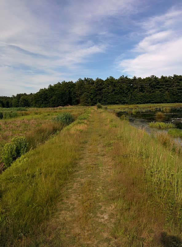 Crowell Conservation Area - Image 2