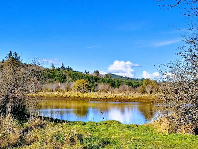 Willapa Landing Park - Image 2