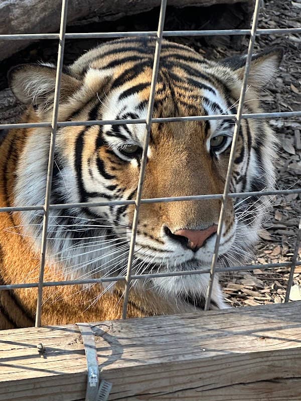 Texas Wildlife Park and Education Center - Image 1