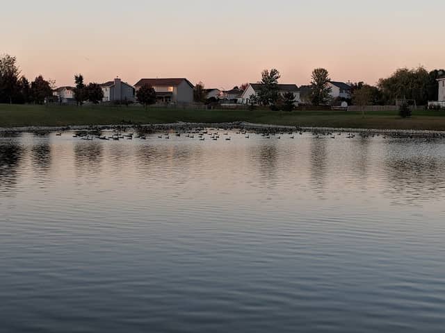 Yellow Pine Park - Image 2
