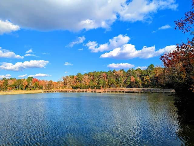 Ashley River Park - Image 1