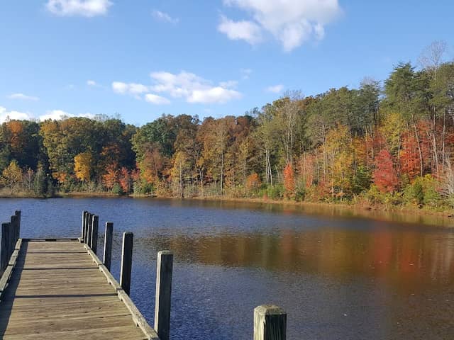Smith Lake Park - Image 3