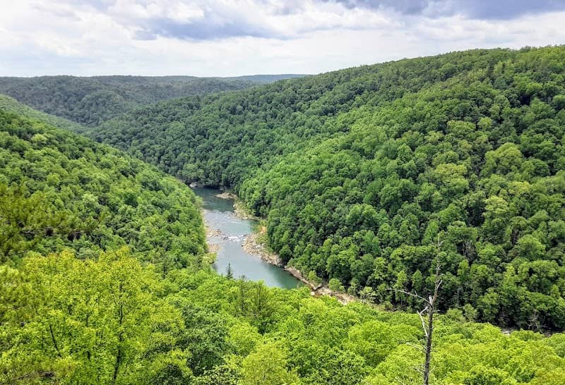 Colorblind Viewfinder: Big South Fork National River & Recreation Area-East Rim Overlook - Image 2