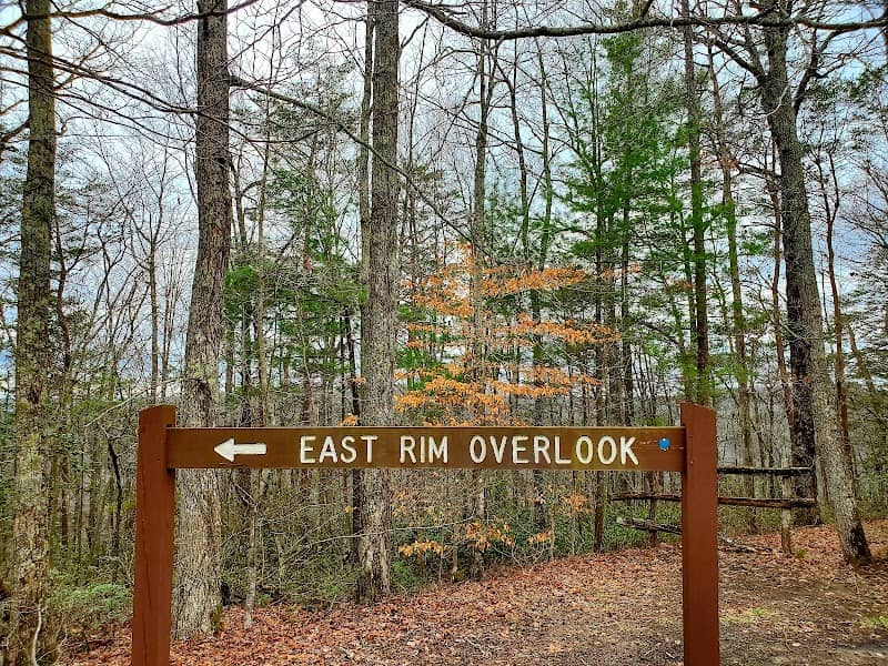 Colorblind Viewfinder: Big South Fork National River & Recreation Area-East Rim Overlook - Image 3