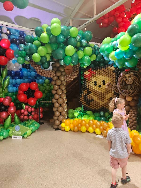 The Balloon Adventure - Image 2