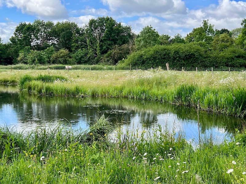 Chamber Mead Wetlands - Image 1