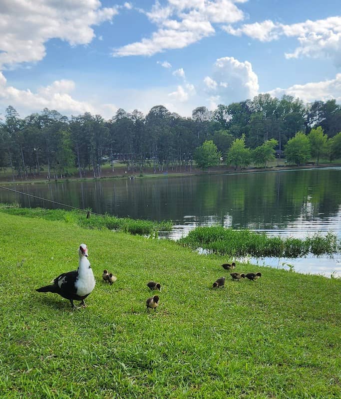 Moon Lake Park - Image 2