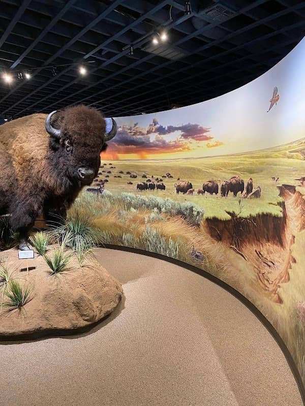 XIT Museum - Image 2