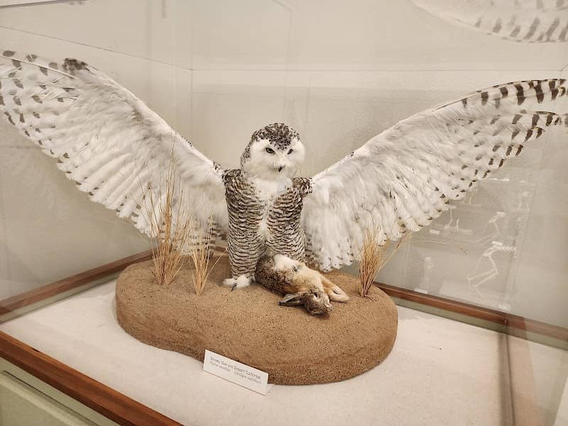 XIT Museum - Image 1