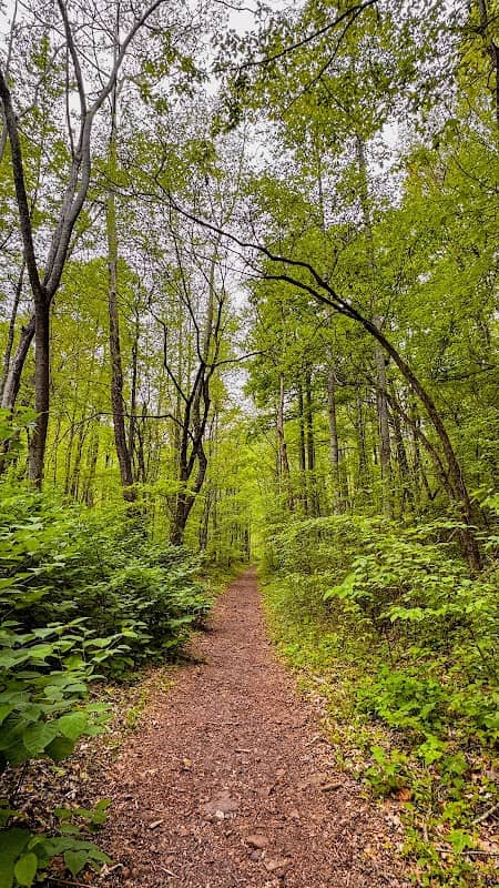 Roaring Creek Trailhead - Cumberland Trail - Image 2