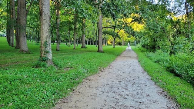 Songbird Trail - Image 2
