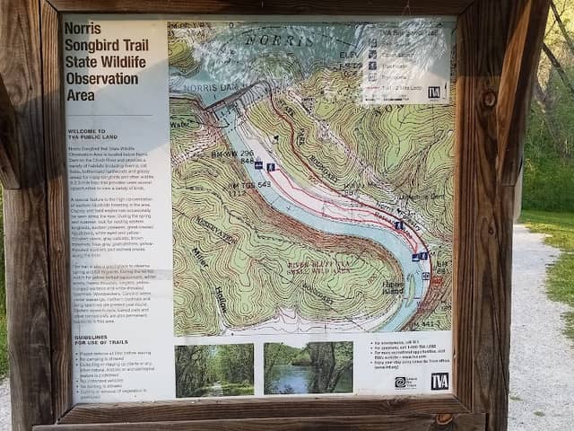 Songbird Trail - Image 1