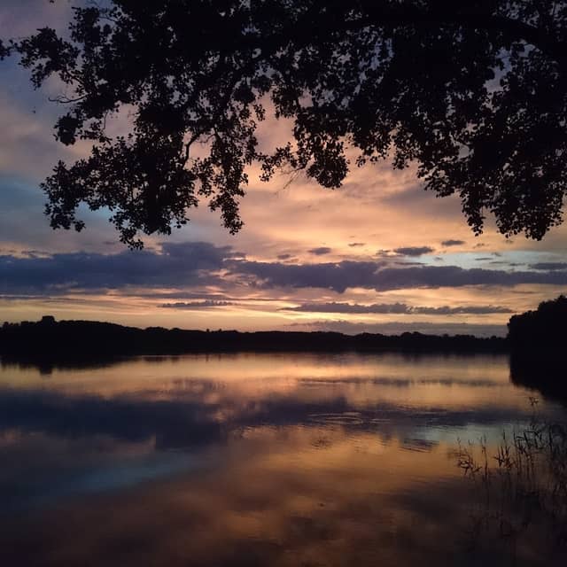 Körbiskrug - Image 2