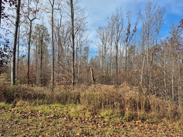 Fuda Creek Greenway - Image 1