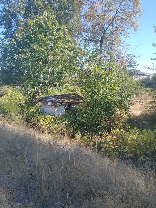 Puyallup Levee Trail Access - Image 1