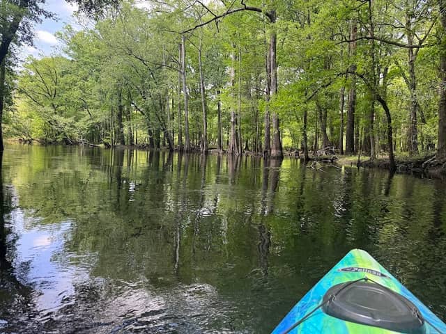 Ennis Bridge Boating Access Area - NC Wildlife Resources Commission - Image 1