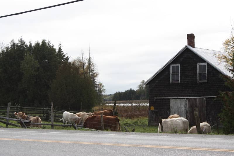 Erinsville - Image 1