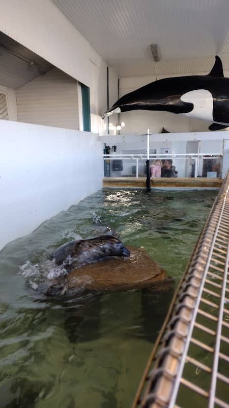 Seaside Aquarium - Image 1