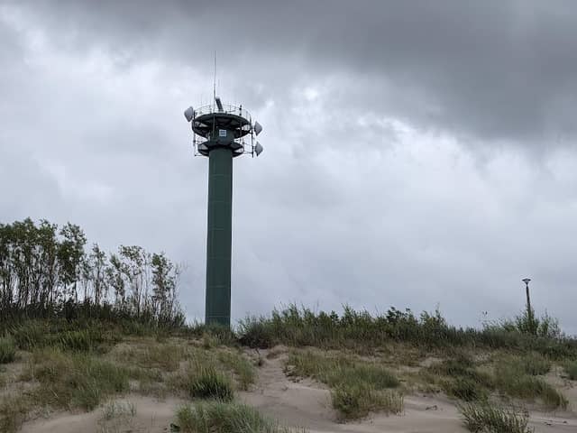 Leśne wejście na plażę - Image 1