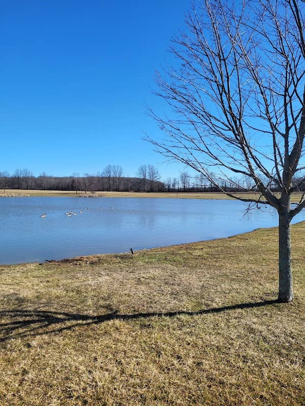Six Pine Park - Image 1