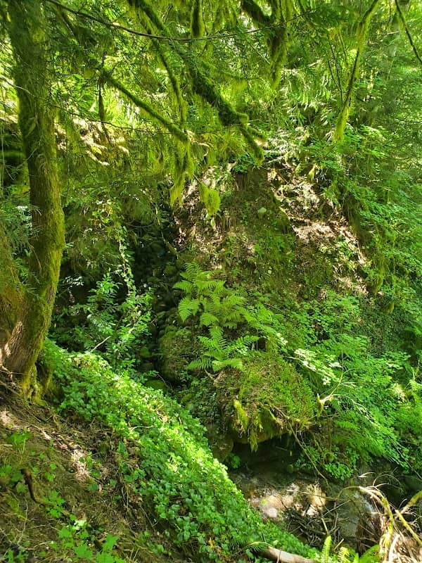 Sandy River Park - Image 2