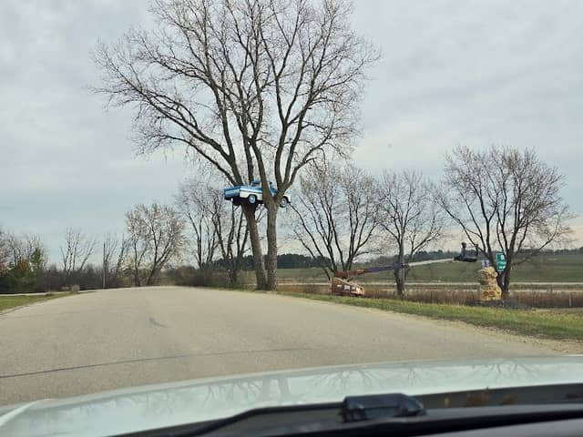 Truck in a Tree - Image 1