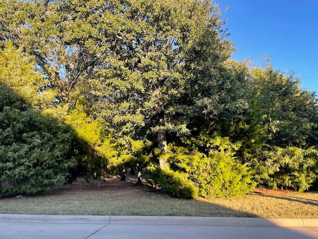 Neighborhood Park in memory of Christine Estes - Image 2