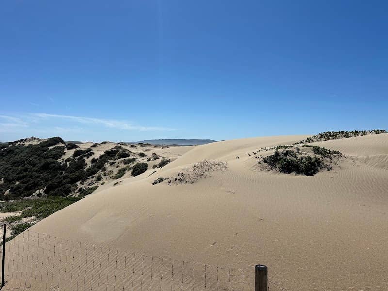 Guadalupe-Nipomo Dunes Center - Image 1