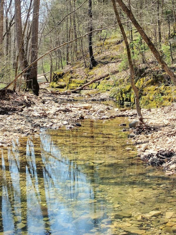 Little Lost Creek Conservation Area - Image 2
