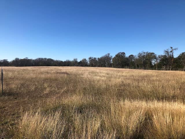Triumph Hill Ranch - Image 1