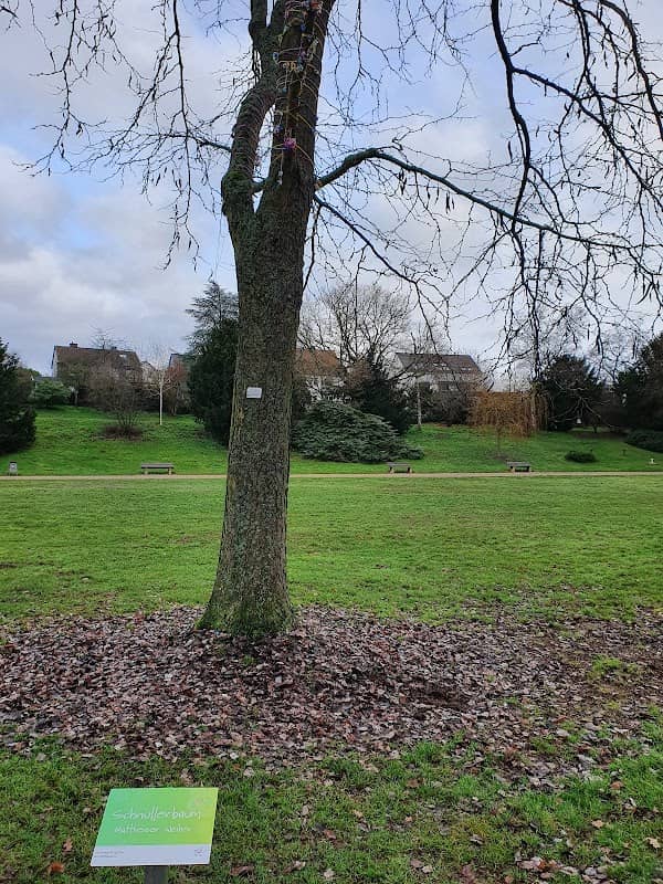 Schnullerbaum - Image 2