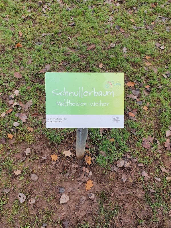 Schnullerbaum - Image 1