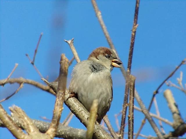 Beauregard & Schiavina Park - Image 1
