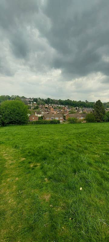Co-op Field - Image 1