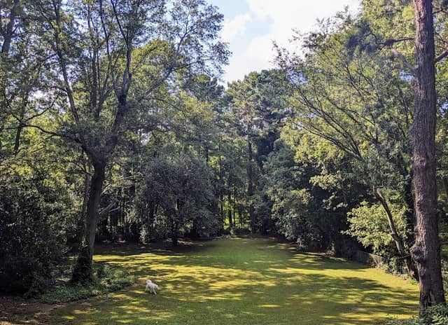 Brockett Bark Park (PRIVATE) - Image 2