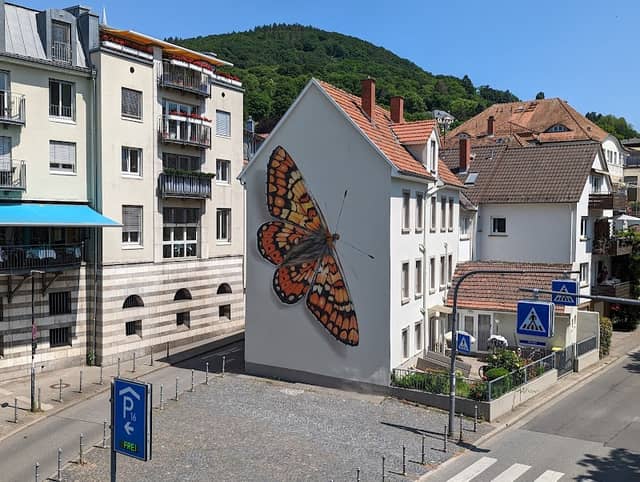 Butterfly mural - Image 1