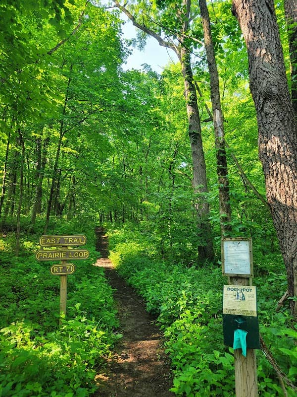 Lyon Forest Preserve - Image 2