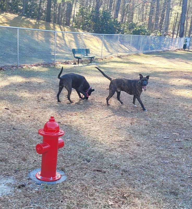 Spruce Pine Dog Park - Image 1