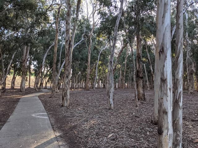Serrano Creek Park - Image 2