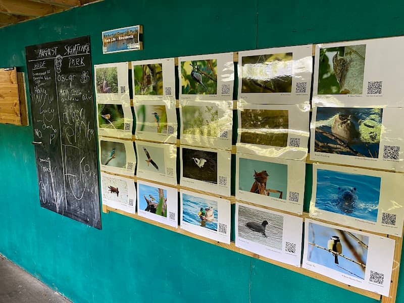 Bird hide - Image 2