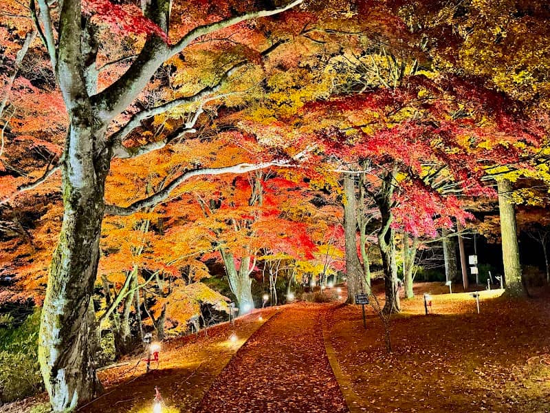 Asahigaoka Lakeside Greenspace Park - Image 1