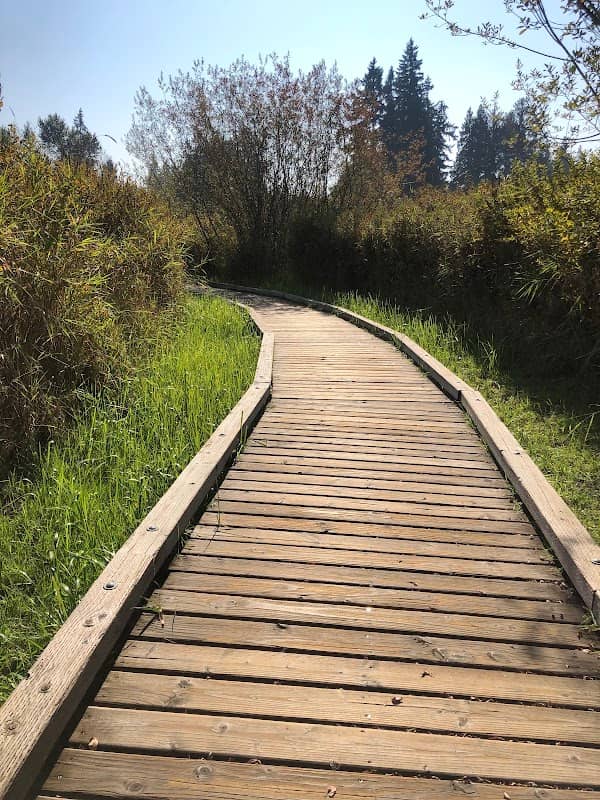North Creek Trail - Image 1