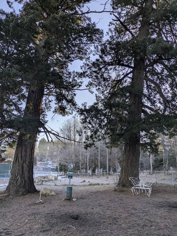 Cloudcroft Dog Park - Image 2