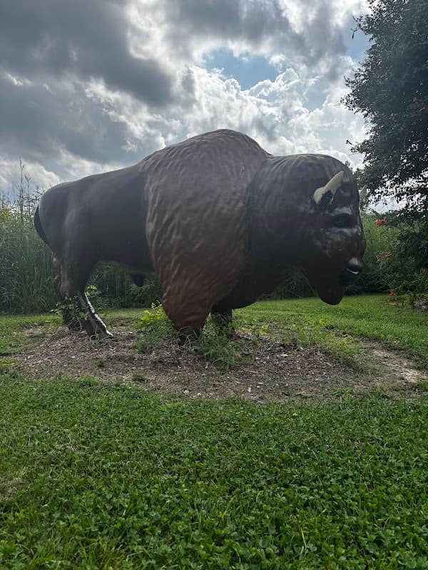 Muscatine Arboretum - Image 2