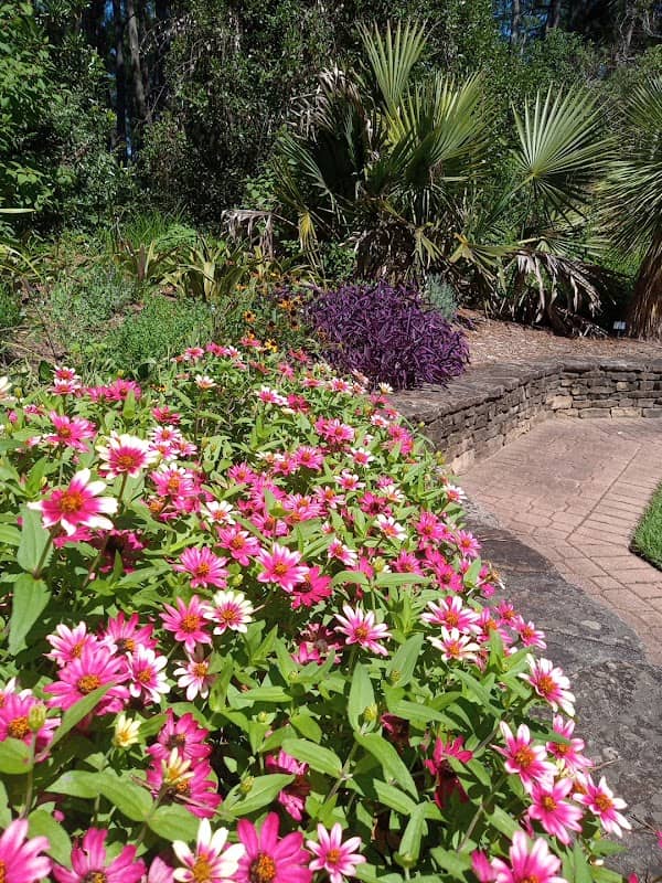 Meditation Garden - Image 1