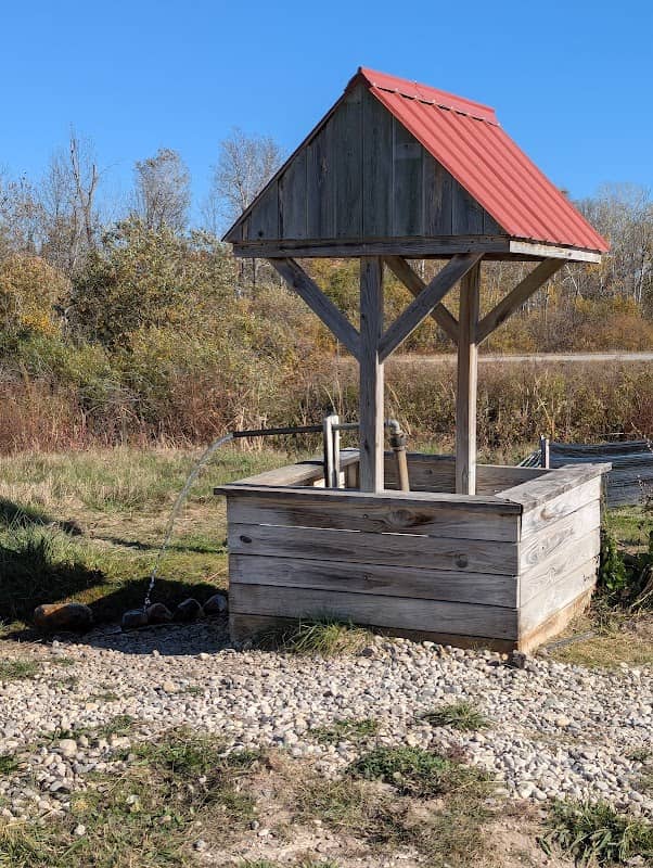 Spring Water - Image 2