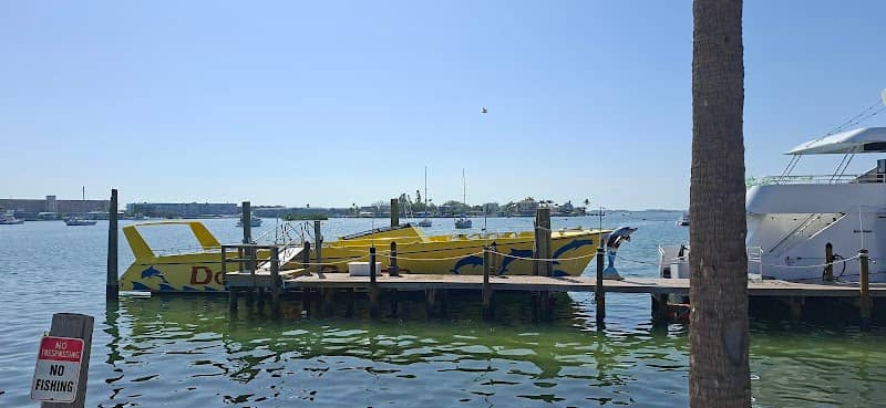 Starlite Cruises - Image 2