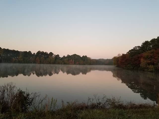 City Pond Park - Image 1